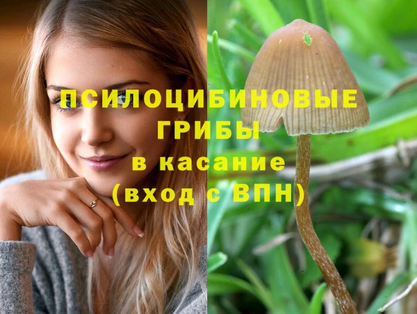 a pvp Алзамай