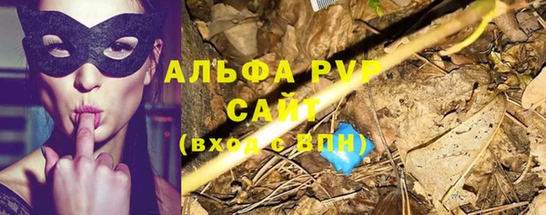 a pvp Алзамай