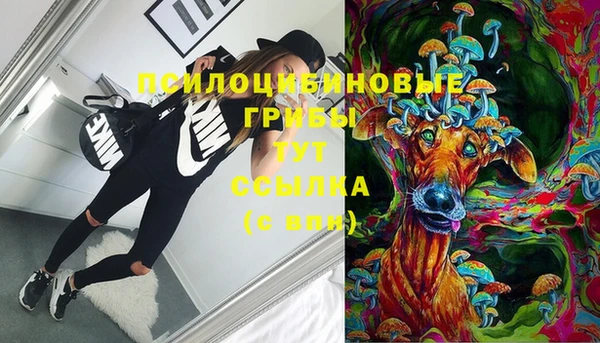 тгк Алексеевка