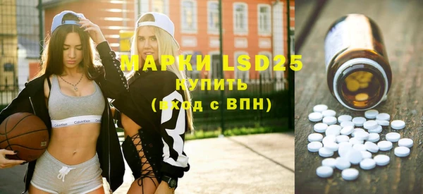 шишки Осташков