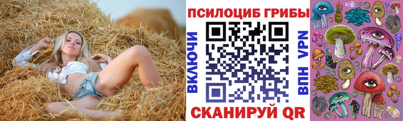 Галлюциногенные грибы Psilocybine cubensis  где найти   Октябрьск 
